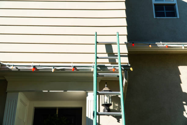 Best Storm Damage Siding Repair  in Treasure Island, FL